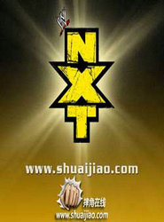 美国摔跤比赛NXT.2013.