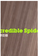 蜘蛛零距离粤语